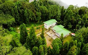 The Alpine Jungle Stay